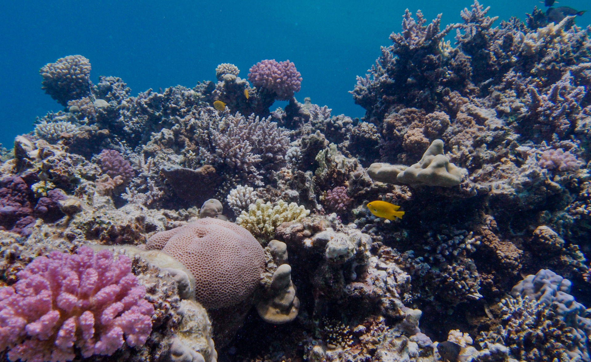 社労士総合事務所は沖縄県那覇市の社会保険労務士事務所です。